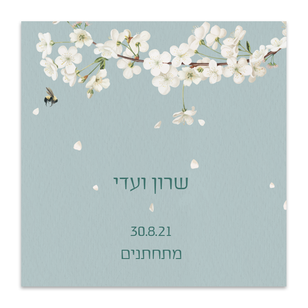 הזמנה לחתונה עבודת הדברה - מלכיט - לבחור, לעצב, להדפיס