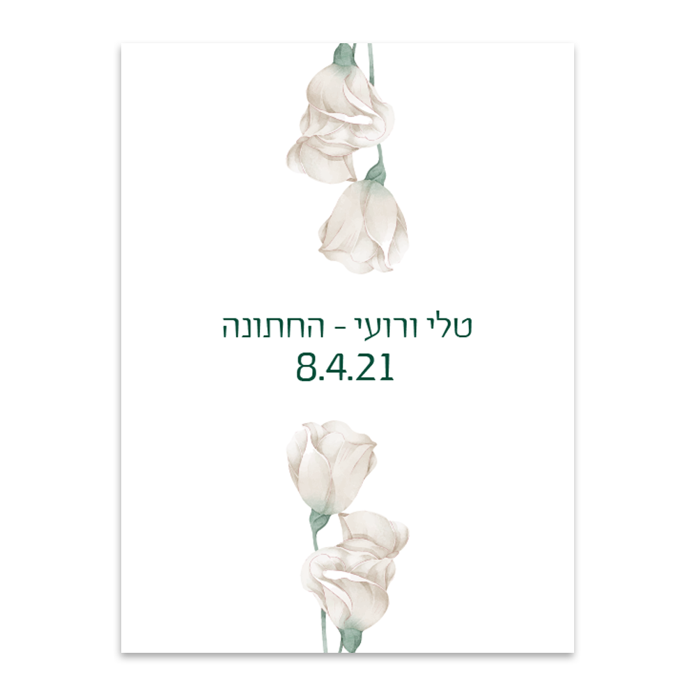 הזמנה לחתונה אייסברג - מלכיט - לבחור, לעצב, להדפיס